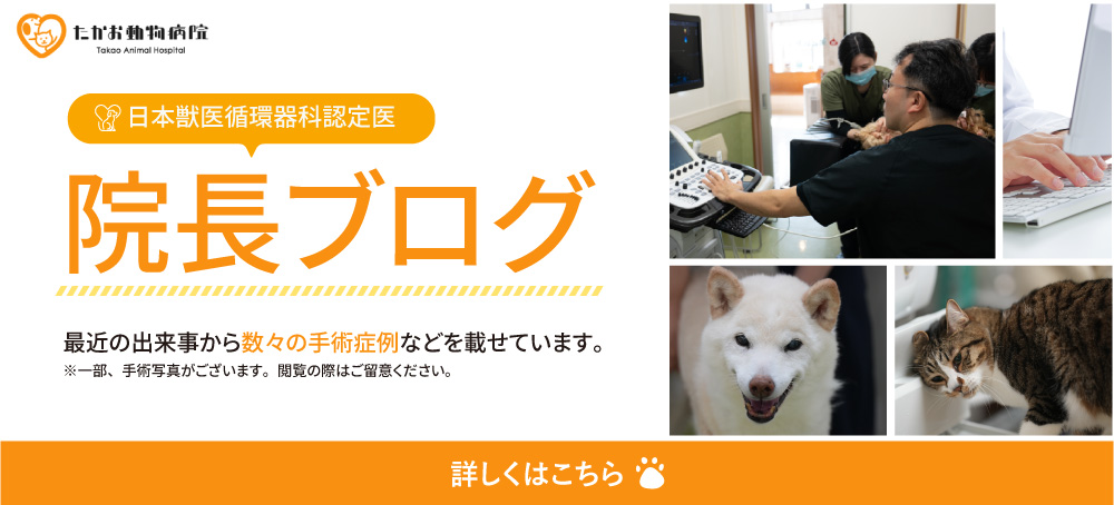 院長ブログ