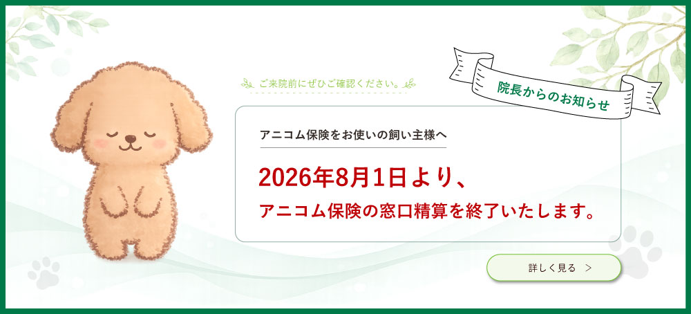 【院長からのお知らせ】アニコム保険をお使いの飼い主様へ　2026年8月1日より、アニコム保険の窓口精算を終了いたします。