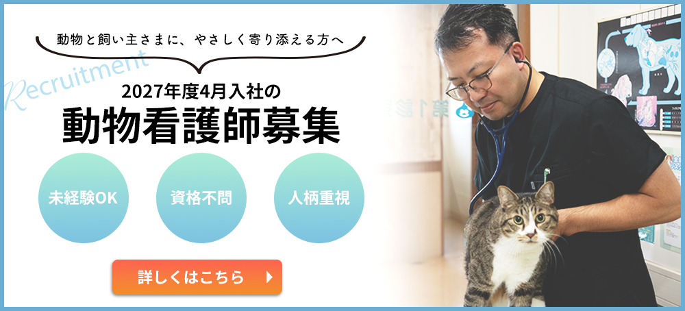 2027年度4月入社の動物看護師募集