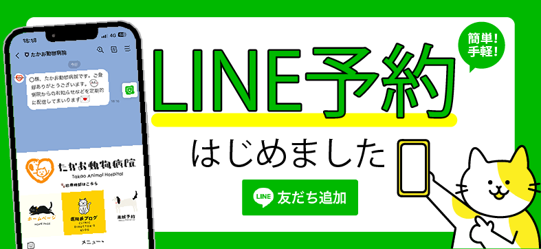 ñڡLINEͽϤޤLINEͧɲ