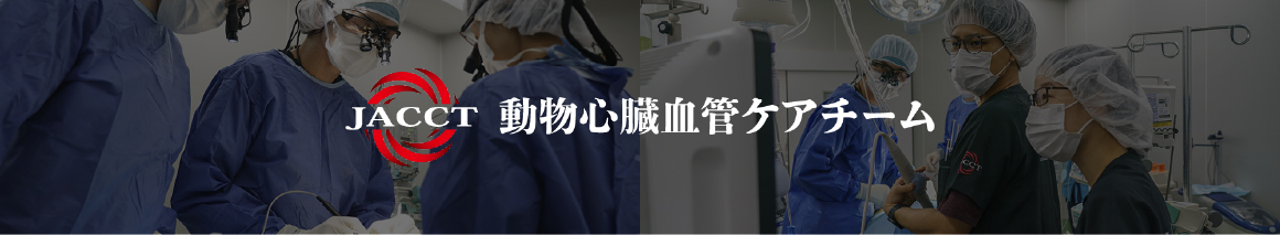 JACCT 動物心臓血管ケアチーム